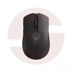 Rapoo M350